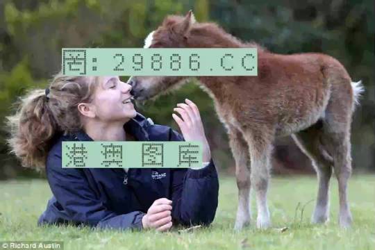澳门今晚一肖中特,具象化表达解说_OMN23.743超级版
