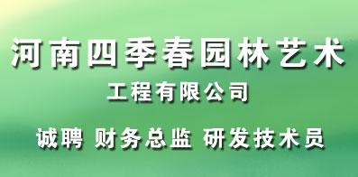 郑州会计招聘最新信息及友情的纽带与家的温暖之旅