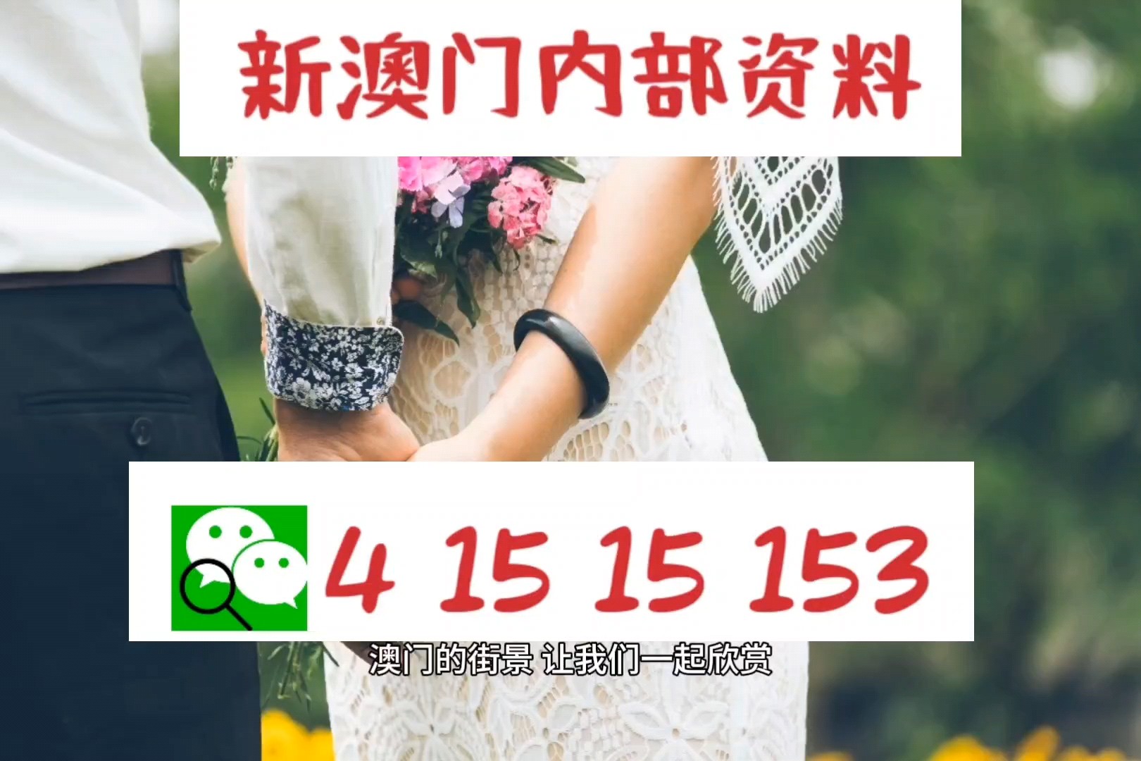 澳门码今晚开什么特马,担保计划执行法策略_QBJ47.956Phablet