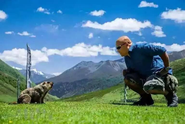 最新步兵排行，踏遍美景，探寻内心平和之地