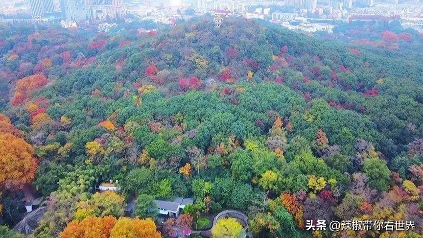 路桥玉峰广场最新动态，城市地标的新风采✨