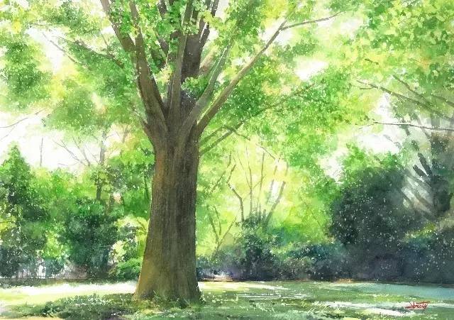 松果儿最新作品，自然美景探险之旅，探寻内心平静的时刻