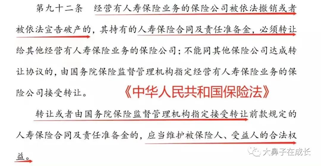人保寿险最新基本法揭秘，小巷深处的寿险宝藏探索