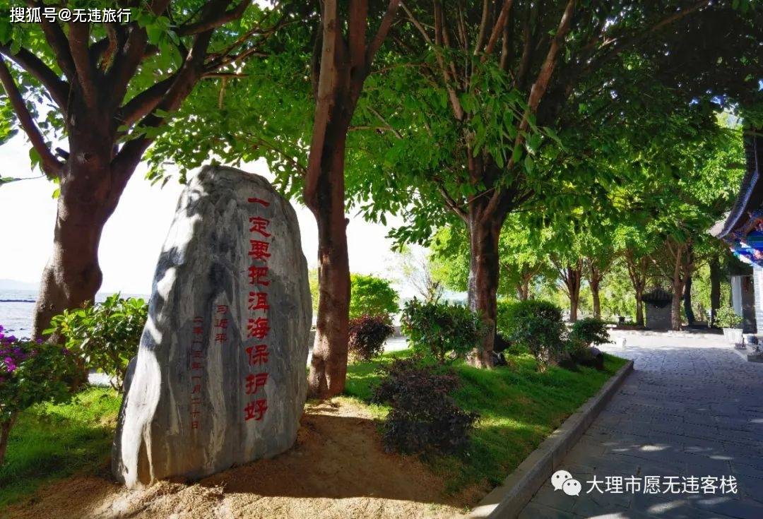 最新玩宠,最新玩宠，一种潮流还是一种责任？