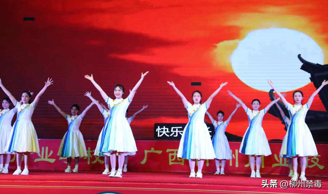 最新无毒盒子，友情与陪伴的奇妙世界探索