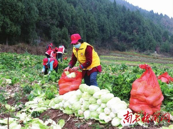 南充最新冠状病毒科技产品介绍与概述