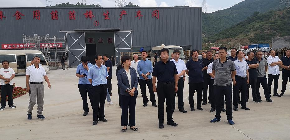 山西道路变迁下的学习热情，最新封路动态与持续的学习精神