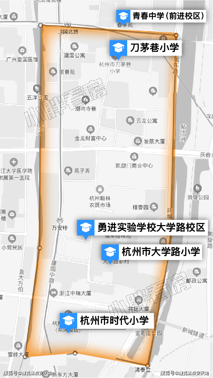 病毒最新排名及其影响深度解析，一种观点的视角