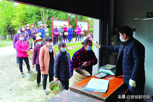 抚顺防疫最新动态，小巷深处的小店防疫故事