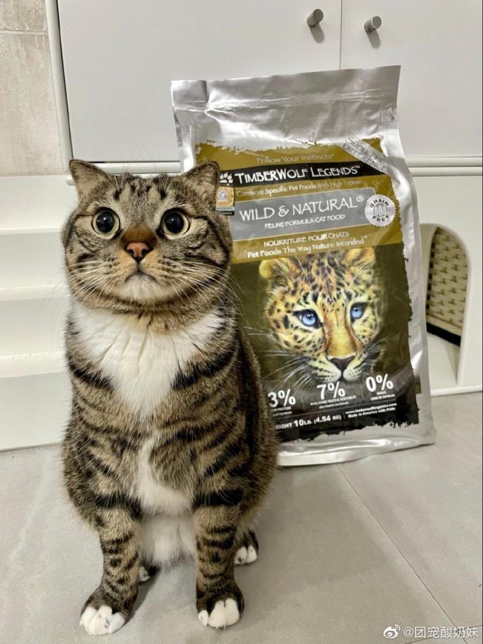 最新猫系，时代宠儿的独特魅力展现