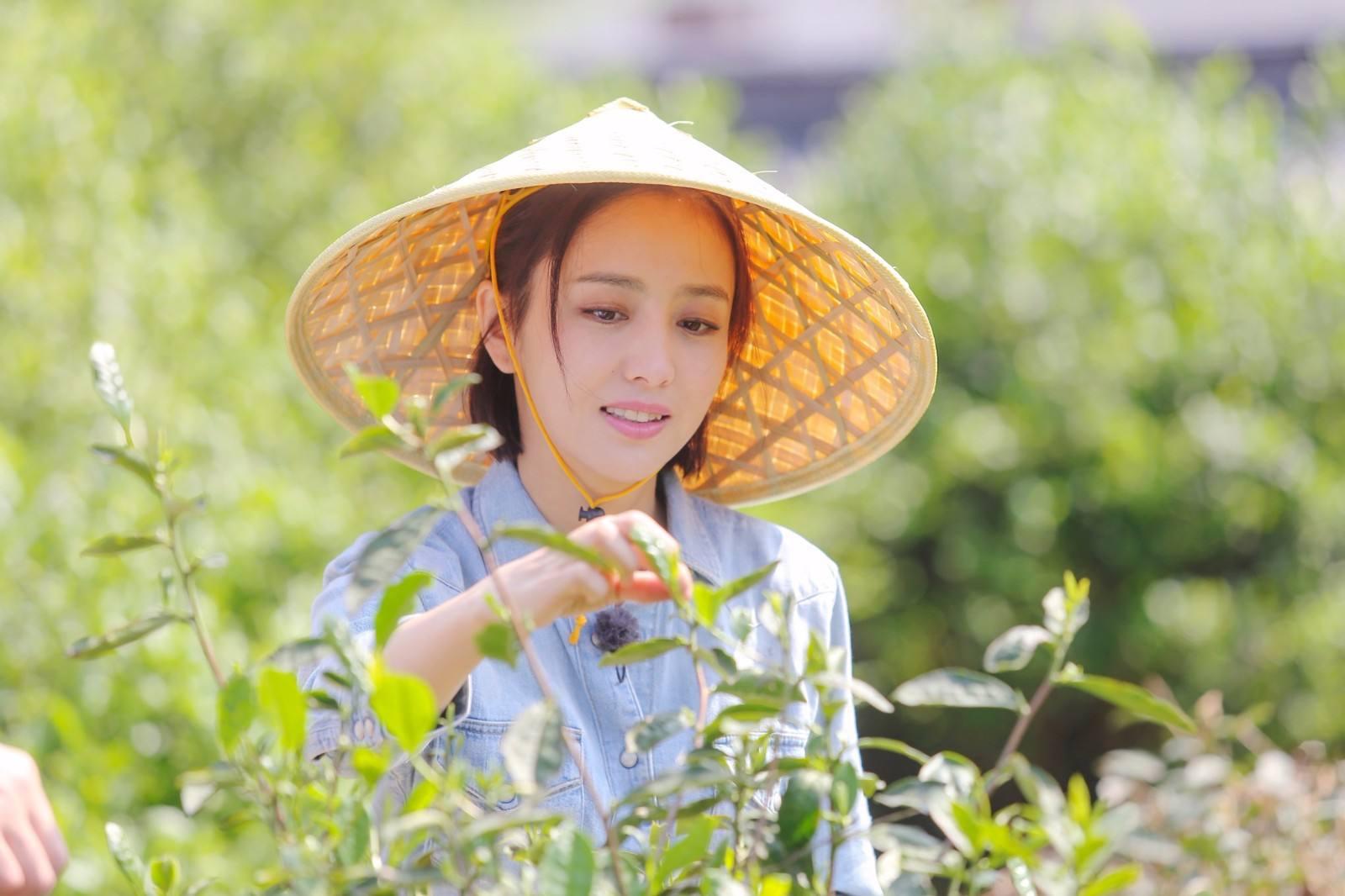 从学习变化中汲取自信与成就感，最新食粪带来的启示