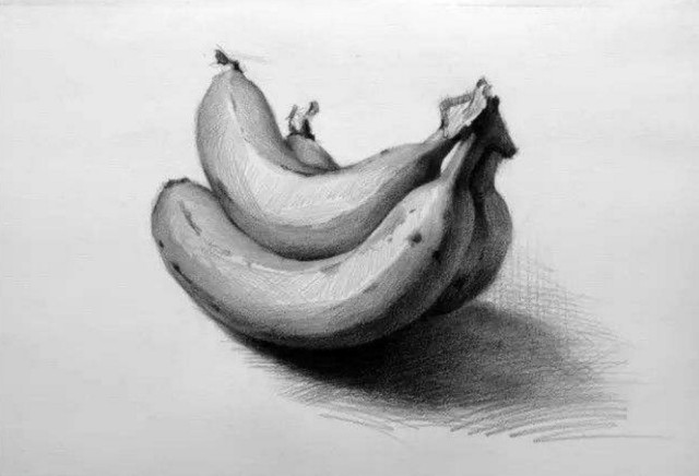 传统与现代交融，最新国画素描的艺术展现