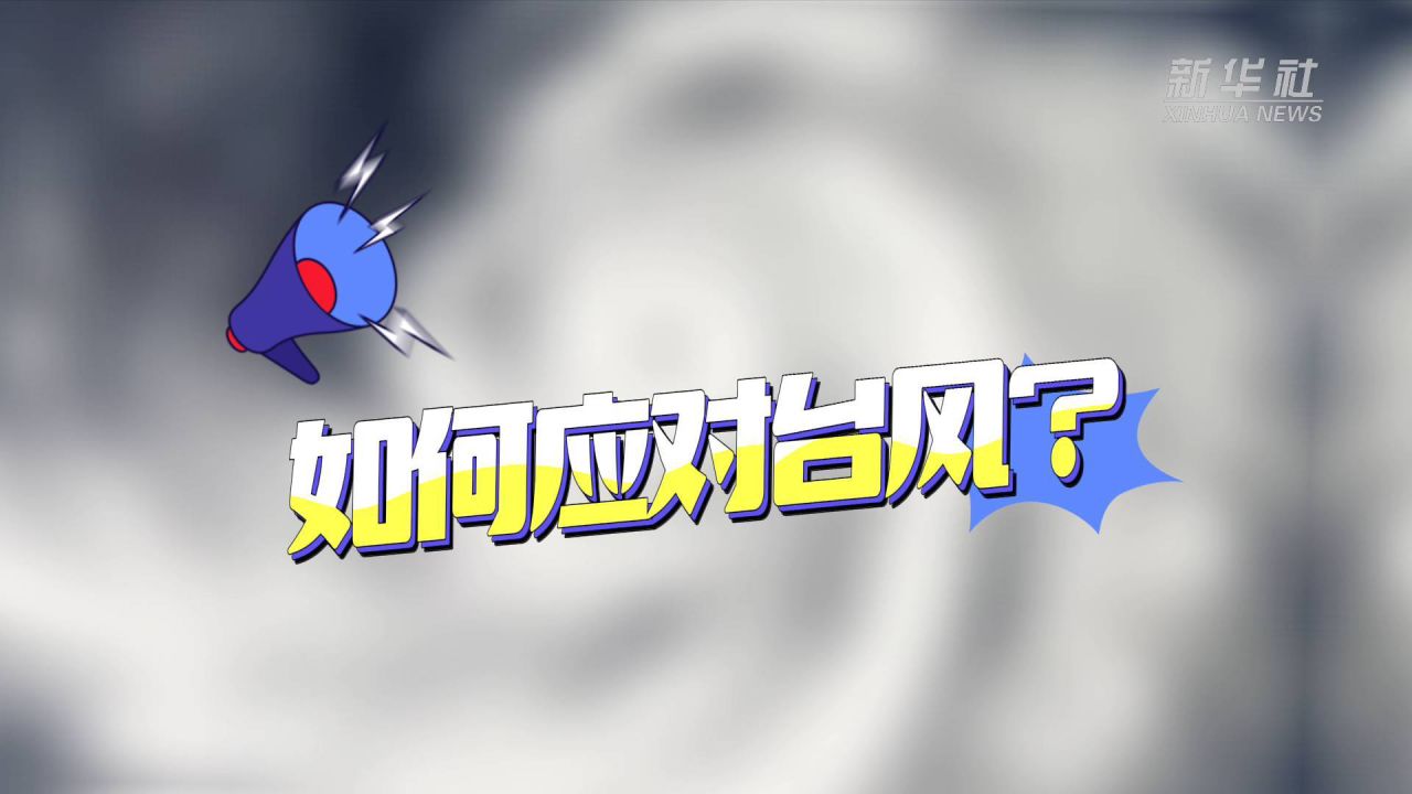 台风最新动态，步骤指南与实时更新信息