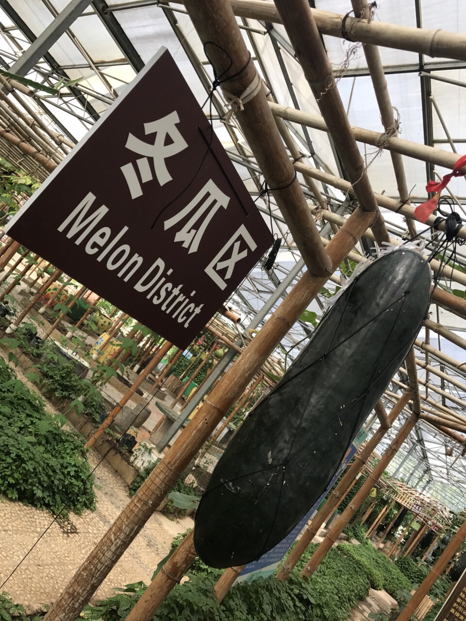 最新八桂田园体验步骤指南与游玩攻略