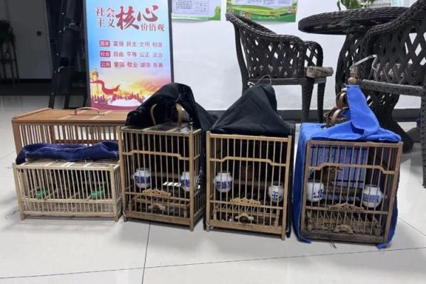 岩土工程 第293页