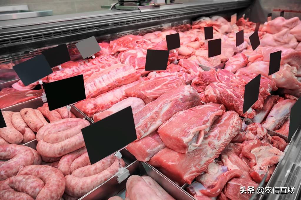 深度解析与观点阐述，猪价行情宝概览