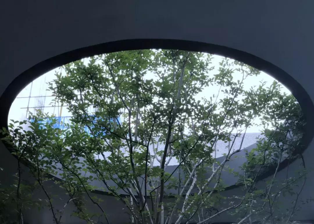 融创地产股票，探寻自然美景之旅，寻觅内心平和与宁静的旅程