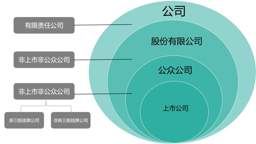 非上市公众公司概述及其类型解析