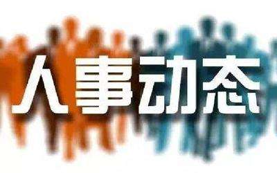荆州组织部人事任免动态详解，从初学者到进阶用户的全方位指南