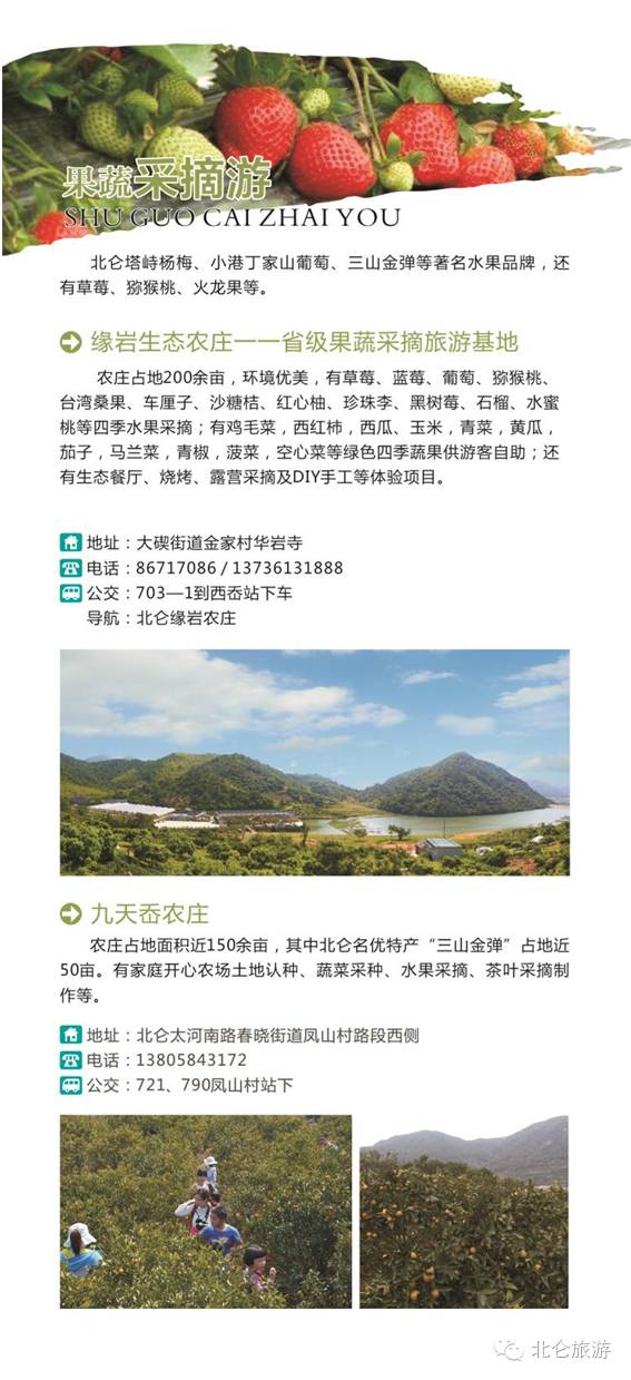 平顶山永基九里资讯全攻略，从初学者到进阶用户的应用指南