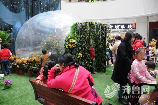 聊城星美广场最新动态揭秘，成长中的广场与我们的变化之旅