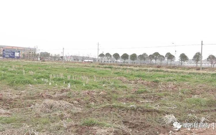 上海西渡街道最新城市规划及其观点论述摘要