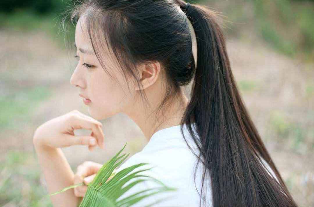 韩国三级女演员，背景、影响与地位探究