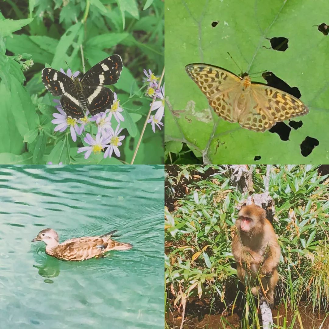 湘潭县撤县最新动态，自然美景探索之旅启程