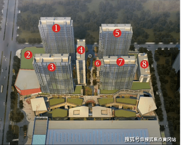 最新现象解析，深度探讨T66Y现象与个人观点分享