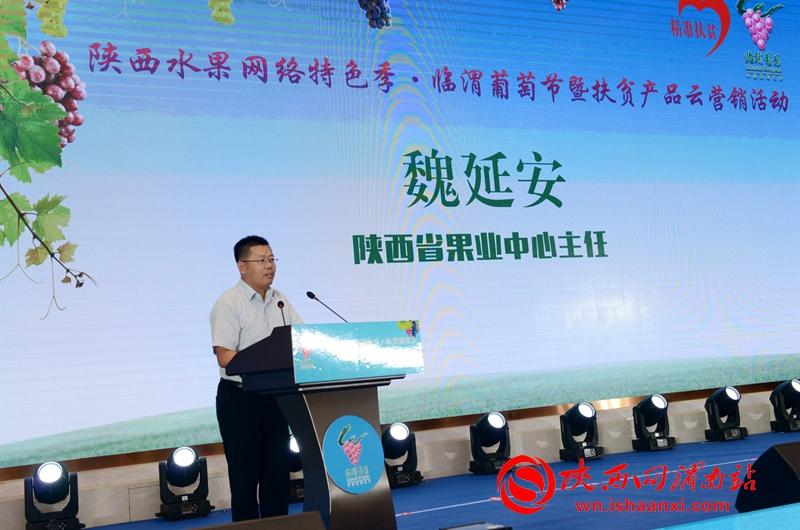 陕西省最新扶贫办主任概述，领导扶贫事业的新篇章