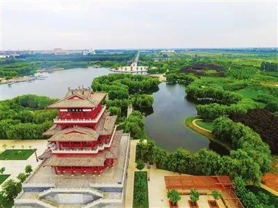 河北沃土种业最新动态更新