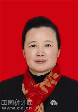 阆中市委常委最新名单揭秘，背后的日常趣事探究