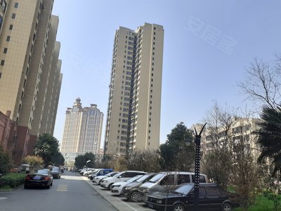 无为五洲雅苑最新动态揭秘，最新进展与资讯更新