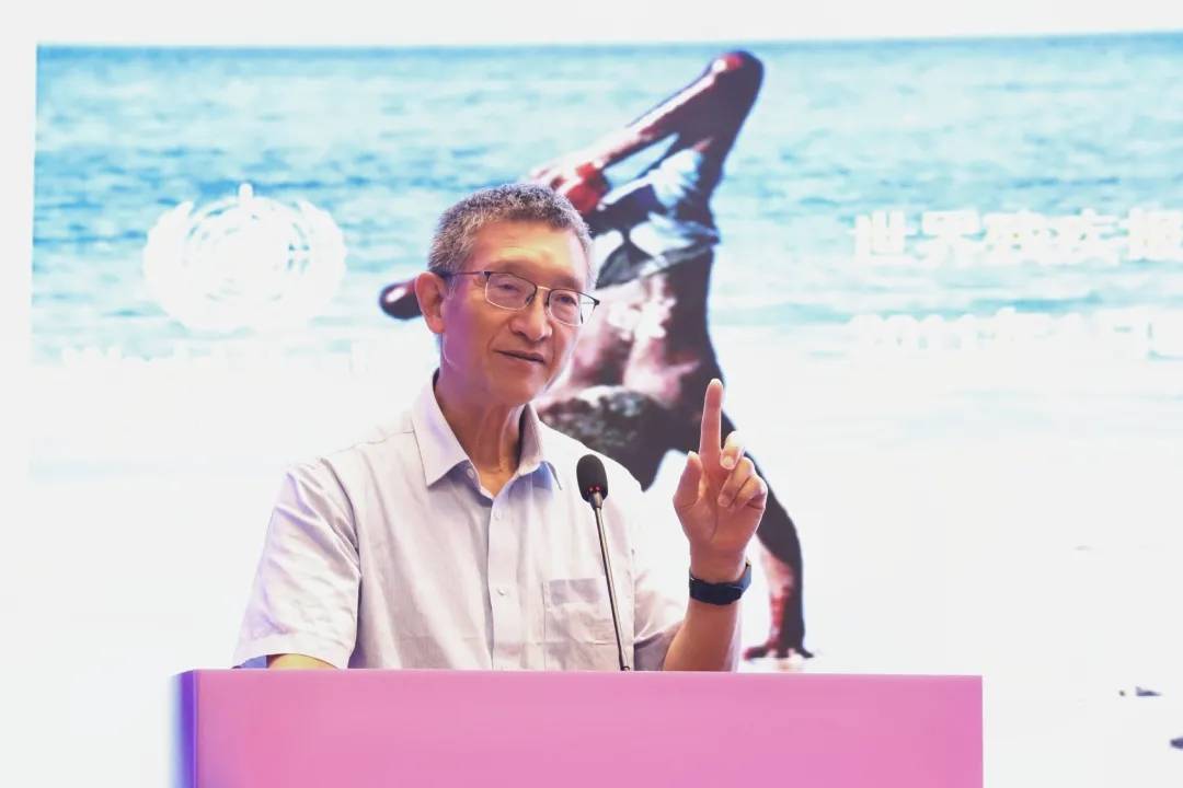 戴建武研究最新进展，探索自然美景之旅，寻求内心平和的旅程