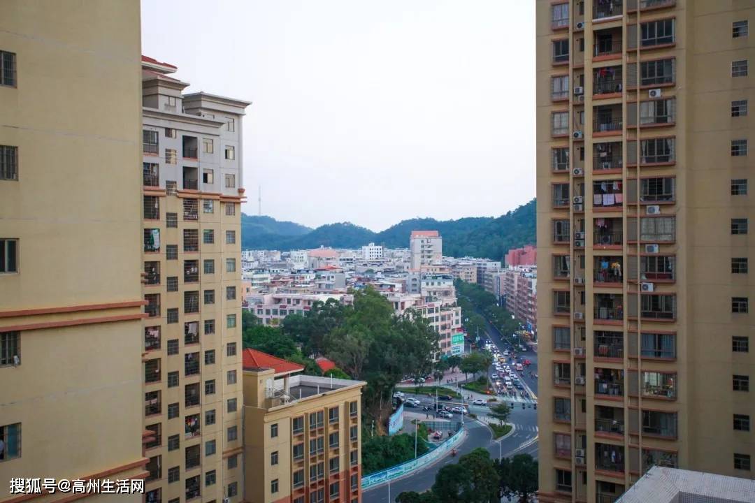 高州二手整栋楼转让，投资新机遇还是财富新选择？