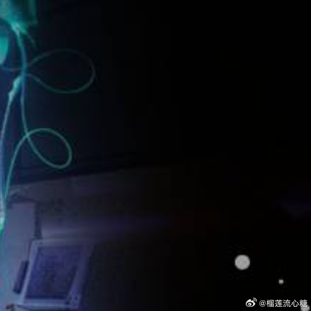 最新兔糖糖，文化现象的深度探究