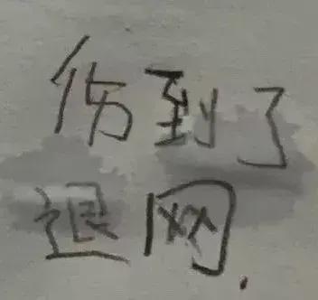 最新虐古文，情感纠葛中的悲欢离合之痛