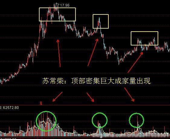 今日股市最新动态，股市中的温情故事展现风采