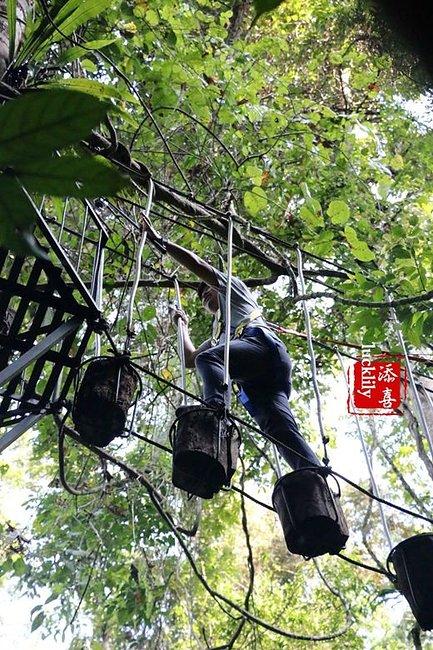 最新港剧保险，变化中的学习之路，自信与成就感的铸就
