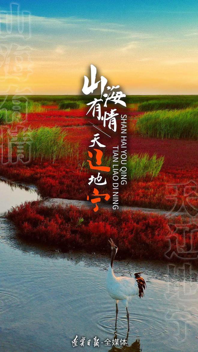 音乐盒最新，自然美景之旅，探寻内心的宁静与平和