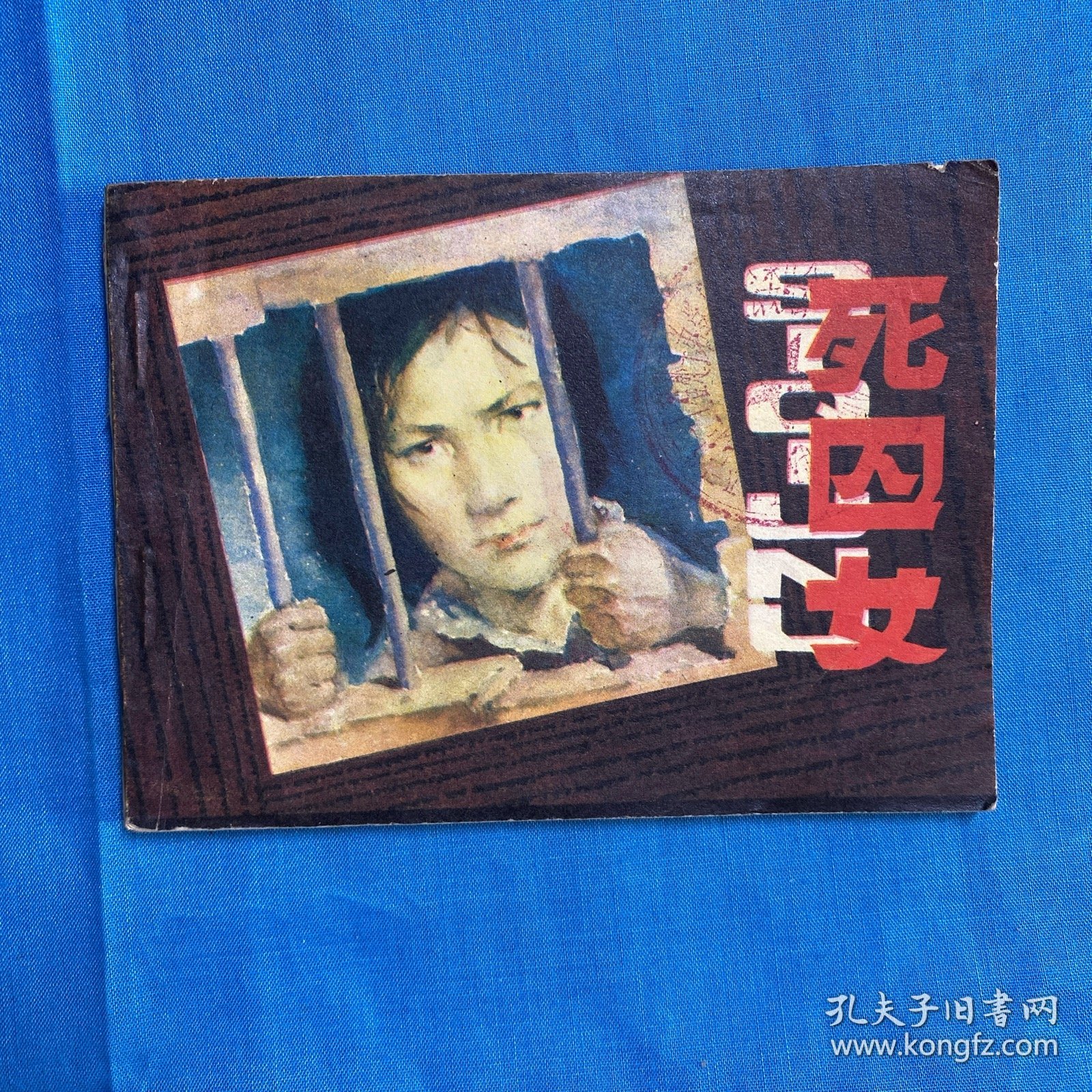 最新女死囚日记揭秘，生死边缘的内心独白