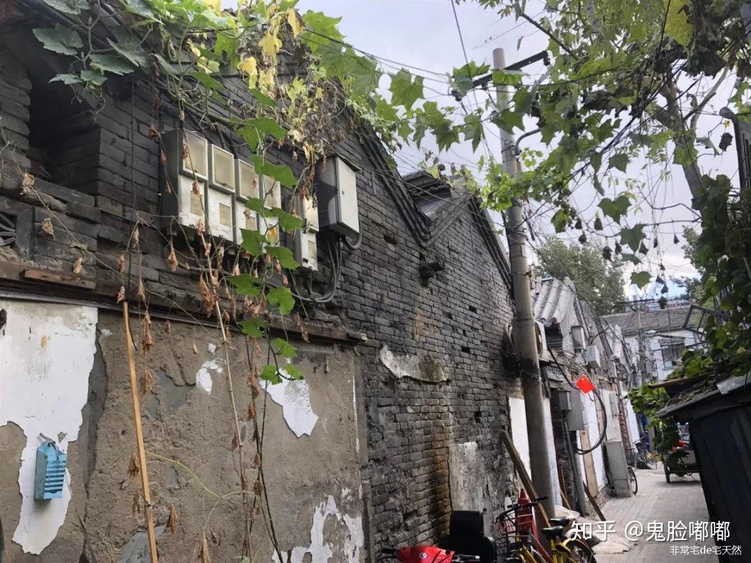 灞桥区小巷探秘，独特风味的秘密揭晓